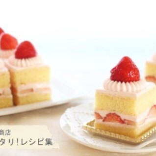 苺のスクエアショートケーキ【No.350】